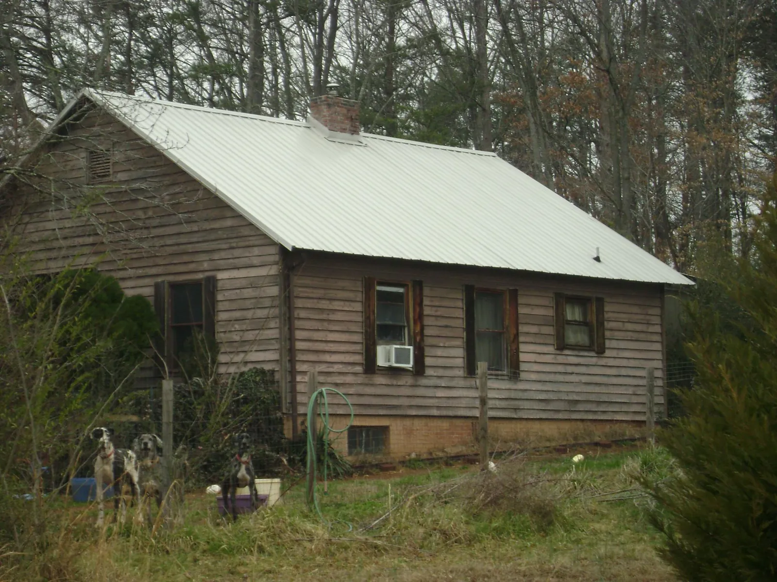 White metal roof on an old wood sided farmhouse, from a Asphalt Shingle Roof Repair job in Burgaw